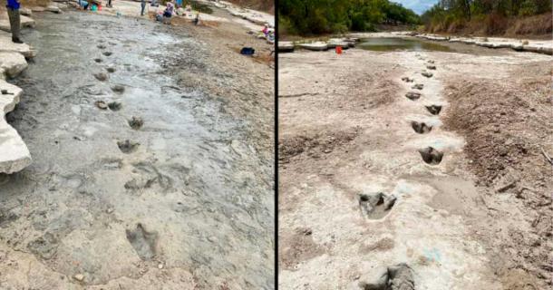 These rare dinosaur tracks were exposed to the light, as it were, by extreme dryness in a Texas riverbed gone dry. Source: Texas Parks & Wildlife Department