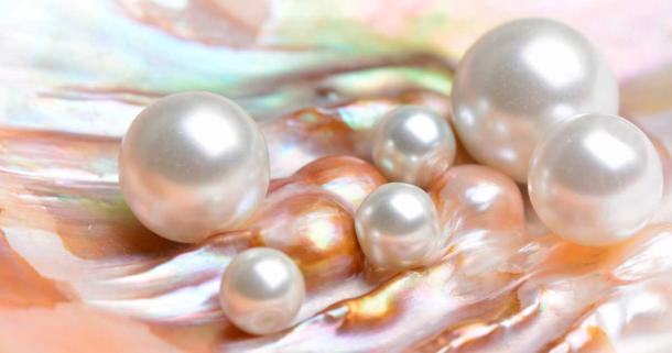 Natural pearls inside an oyster shell were a surprise in the ancient food sources of peoples living on the coast in the Persian Gulf and southern India and before long they were world famous elite gemstones. Source: valeriy555 / Adobe Stock
