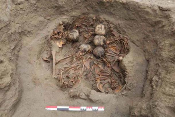 The most mystifying grave found during the July-August dig season at Pampa La Cruz in northern Peru held five children in a circle with their heads almost touching. Source: andina / Huanchaco Archaeological Program