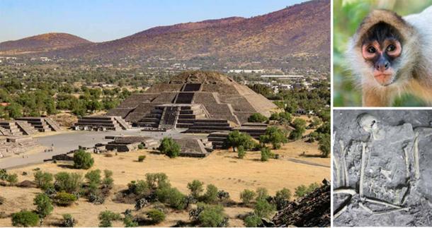 Aerial image of the Pyramid of the Moon at Teotihuacan in Mexico. Source: Wirestock Creators / Adobe Stock; Khanh / Adobe Stock; N. Sugiyama / Project Plaza of the Columns Complex