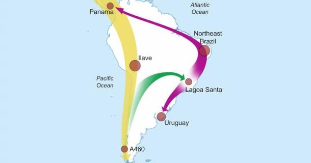 Image depicting South American migration patterns. Source: Florida Atlantic University