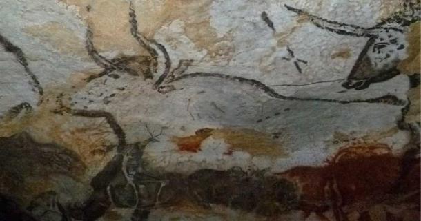 Auroch bull painting in the Lascaux cave, with the four dots indicated. Source: JoJan /CC BY 4.0