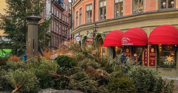 January 14th, the day after St Knut’s Day, in Stockholm, Sweden is when everyone tosses out the Christmas tree but only after a good party the day before! Source: Swedense