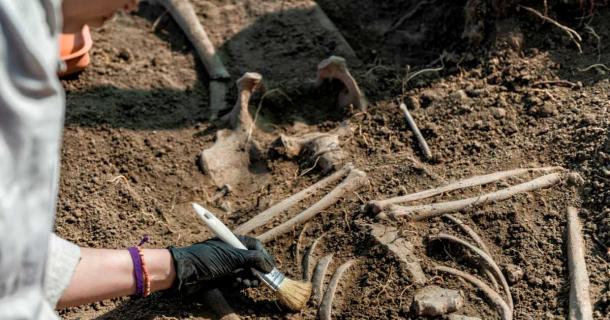 Top image: Archaeologists excavating a human skeleton (representational image). Source: Microgen / Adobe Stock.