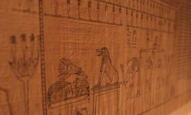  Part of the 16-meter-long document from Saqqara that includes illustrations and text from the Book of the Dead of Ahmose. Source: Supreme Council of Antiquities