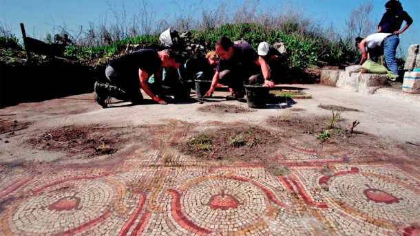 The flower mosaic at Horvat El-Bira being excavated. Source: Emil Algam/IAA