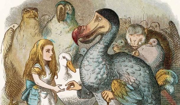 Illustration by John Tensile of the Dodo from Lewis Carroll’s “Alice's Adventures in Wonderland.” Source: Archivist / Adobe Stock