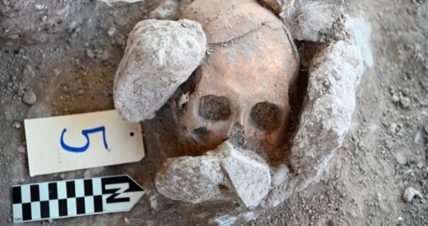 Male skull with tabular deformation found amongst Maya burials at the Moral-Reforma Archaeological Project. Source: INAH
