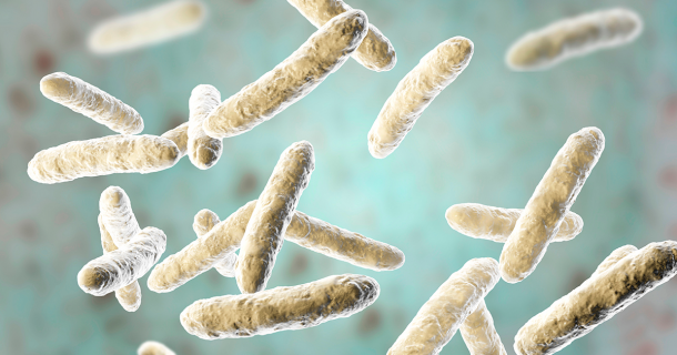 Throughout history probiotic bacteria has been used to attain good health, even if ancient cultures did not yet understand the science behind why they worked. Source: Dr_Microbe / Adobe Stock 