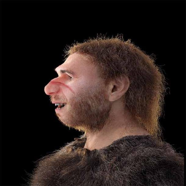 Rendering of a face representing Neanderthal features. (nicolasprimola/Adobe Stock)