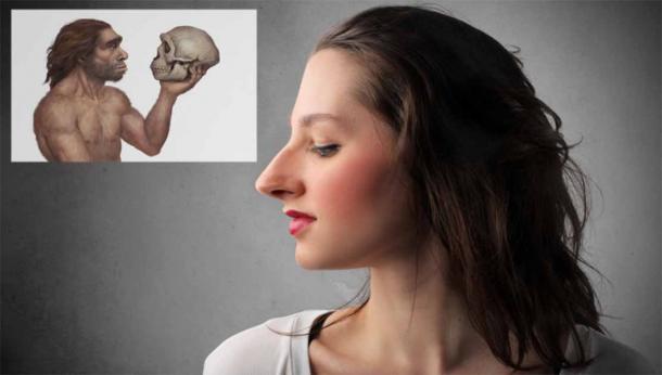 Modern lady with long, broad nose, of the type now thought to be inherited from the Neanderthal nose. (Insert, Neanderthal holding a skull) Source: olly/Adobe Stock; Insert, Roni / Adobe Stock