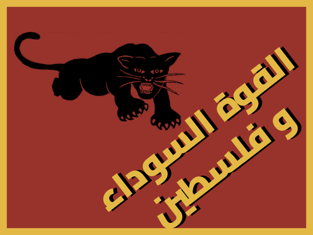 Graphic with the logo of the Black Panther Party that says, “Black power and Palestine” in Arabic.