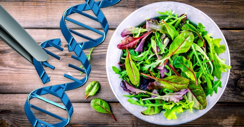 crispr gene editing salad greens feature