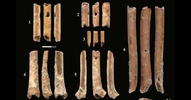Bone ‘aerophones’ or flutes from Eynan-Mallaha. Source: Laurent Davin et al/ Nature 
