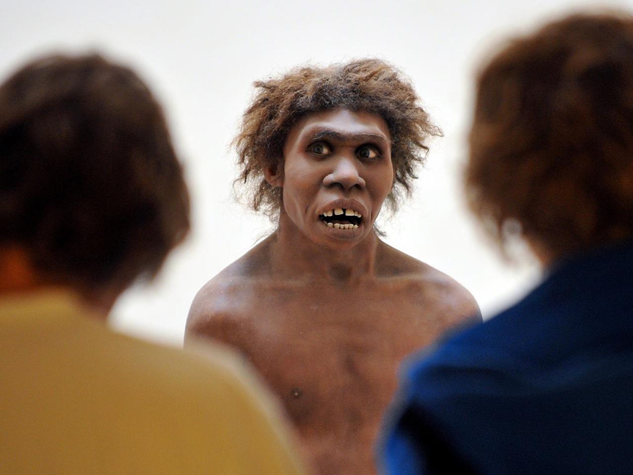 Read more

Neanderthals might have contracted diseases from early humans